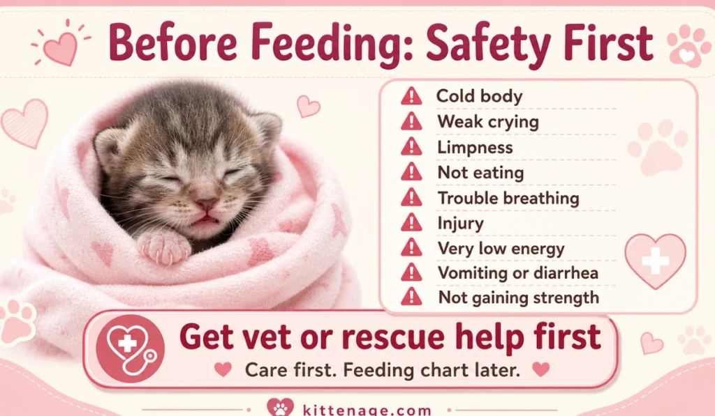 Kitten safety checklist showing warning signs like cold body, weak crying, not eating, trouble breathing, and when to get vet help.
